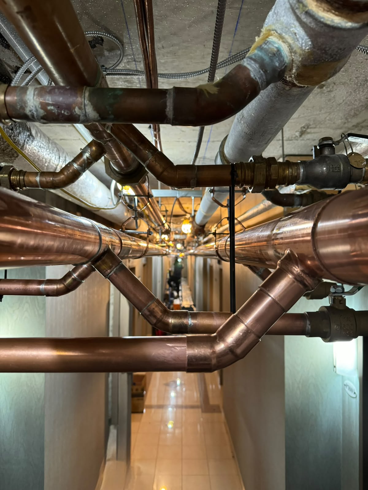 Overhead piping prepared for reliable service access